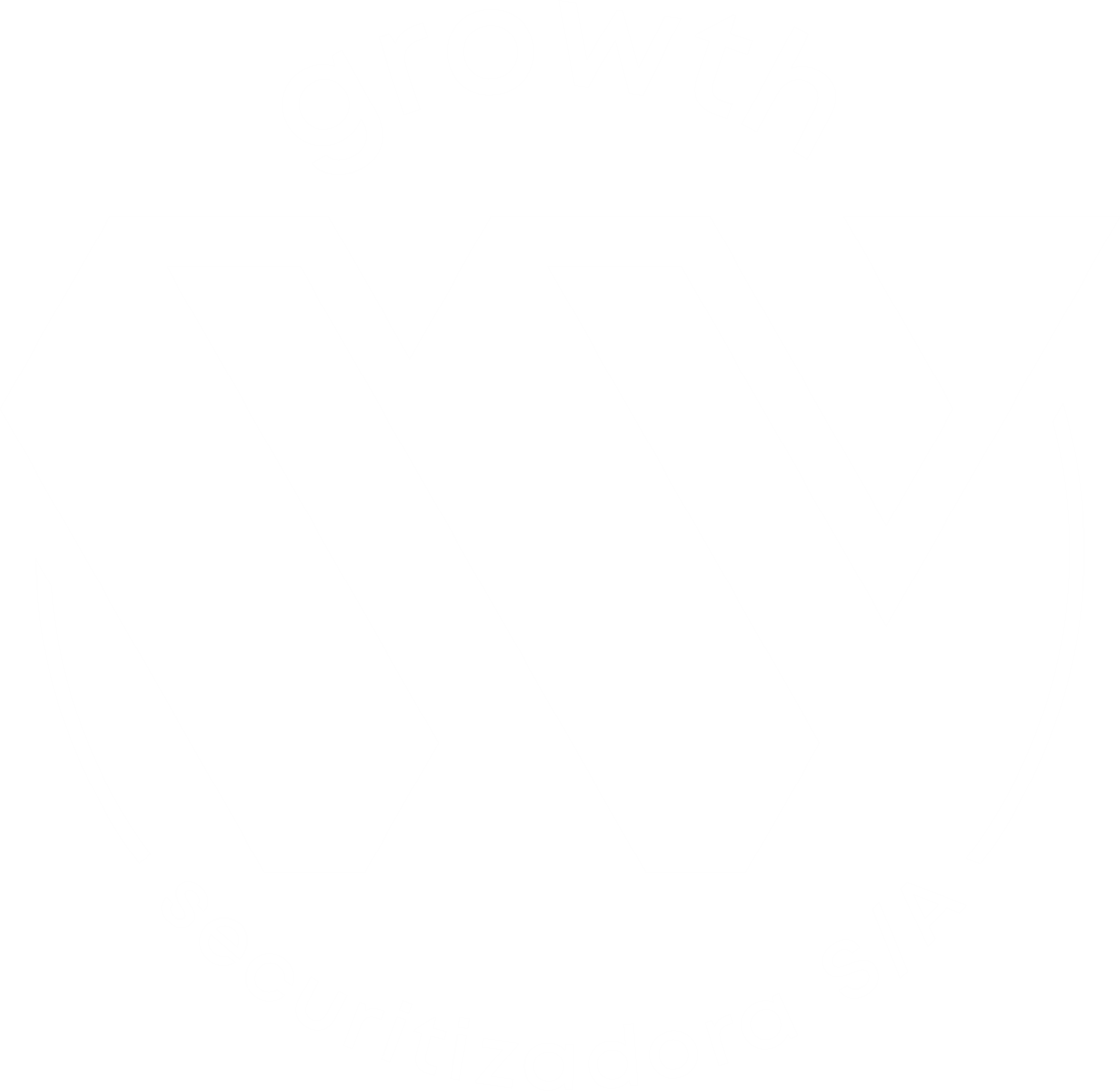 Growth Securitizadora